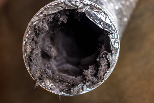 Best Air Duct Cleaning Near Me  in Gibsonia, PA