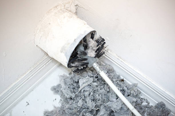 Best Air Duct Sanitizing Services  in Gibsonia, PA